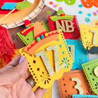 NB to 12 Months First Fiesta Photo Milestone Banner