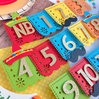 NB to 12 Months First Fiesta Photo Milestone Banner