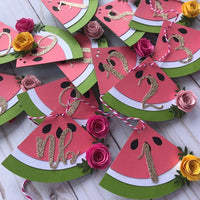 One in a melon first year clips, one in a melon Monthly photo banner, watermelon party, watermelon party decor, one in a melon party