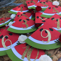 One in a melon first year clips, one in a melon Monthly photo banner, watermelon party, watermelon party decor, one in a melon party