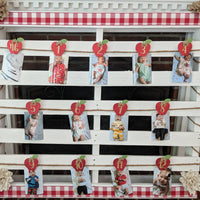 Apple monthly Garland | Apple Banner | Apple party decoration | Apples Decor |Apples garland | Fruit party decor | Apple of my eye party