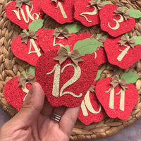 Apple monthly Garland | Apple Banner | Apple party decoration | Apples Decor |Apples garland | Fruit party decor | Apple of my eye party