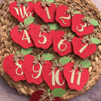 Apple monthly Garland | Apple Banner | Apple party decoration | Apples Decor |Apples garland | Fruit party decor | Apple of my eye party