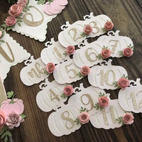 Pumpkin Monthly photo banner, my little pumpkin, 1st birthday photo banner, chic birthday decor, monthly photo banner, pumpkin decorations