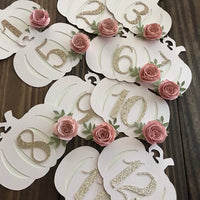 Pumpkin Monthly photo banner, my little pumpkin, 1st birthday photo banner, chic birthday decor, monthly photo banner, pumpkin decorations