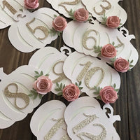 Pumpkin Monthly photo banner, my little pumpkin, 1st birthday photo banner, chic birthday decor, monthly photo banner, pumpkin decorations