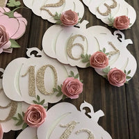 Pumpkin Monthly photo banner, my little pumpkin, 1st birthday photo banner, chic birthday decor, monthly photo banner, pumpkin decorations