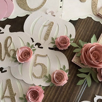 Pumpkin Monthly photo banner, my little pumpkin, 1st birthday photo banner, chic birthday decor, monthly photo banner, pumpkin decorations