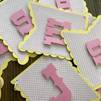 Farm cake topper, cow cake topper, cow 2nd birthday, pink barnyard theme, farm birthday banner, farm theme