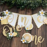 Lemonade high chair banner, lemonade party,lemonade first birthday high chair banner, lemon party,lemonade cake smash cake,lemon cake topper-2