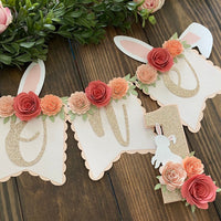 Some Bunny is one party package