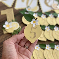 Lemonade high chair banner, lemonade party,lemonade first birthday high chair banner, lemon party,lemonade cake smash cake,lemon cake topper