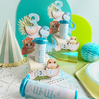 Mini Chocolates box Display