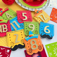 NB to 12 Months First Fiesta Photo Milestone Banner