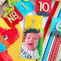 NB to 12 Months First Fiesta Photo Milestone Banner
