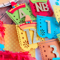 NB to 12 Months First Fiesta Photo Milestone Banner