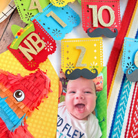 NB to 12 Months First Fiesta Photo Milestone Banner