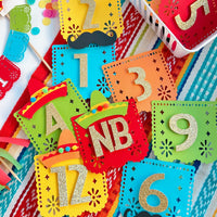 NB to 12 Months First Fiesta Photo Milestone Banner